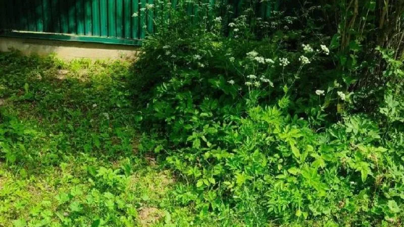 Минэкологии Подмосковья предостерегло землевладельцев от незаконных работ в реке