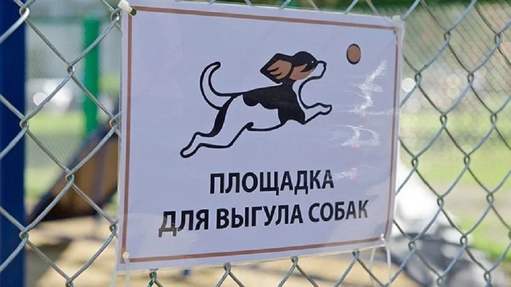В Королеве оборудовали 4 площадки для выгула собак