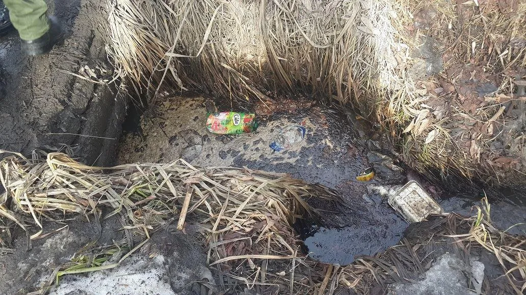 В Мытищах выявили факт загрязнения ручья стоками из очистных сооружений