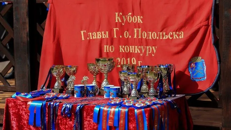 В Подольске определили победителей Кубка главы по конкуру и выездке