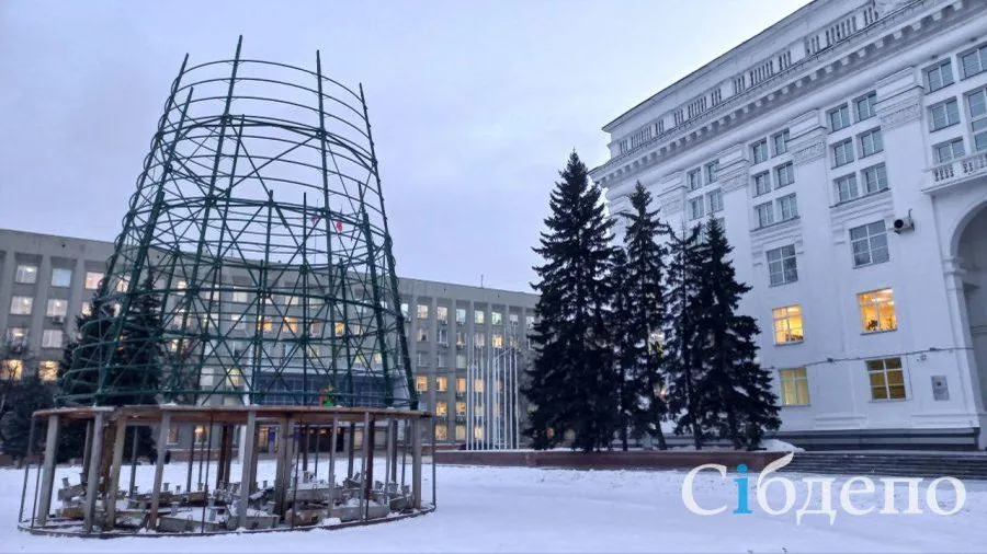В Кемерове на площади Советов уже установлен каркас главной ели