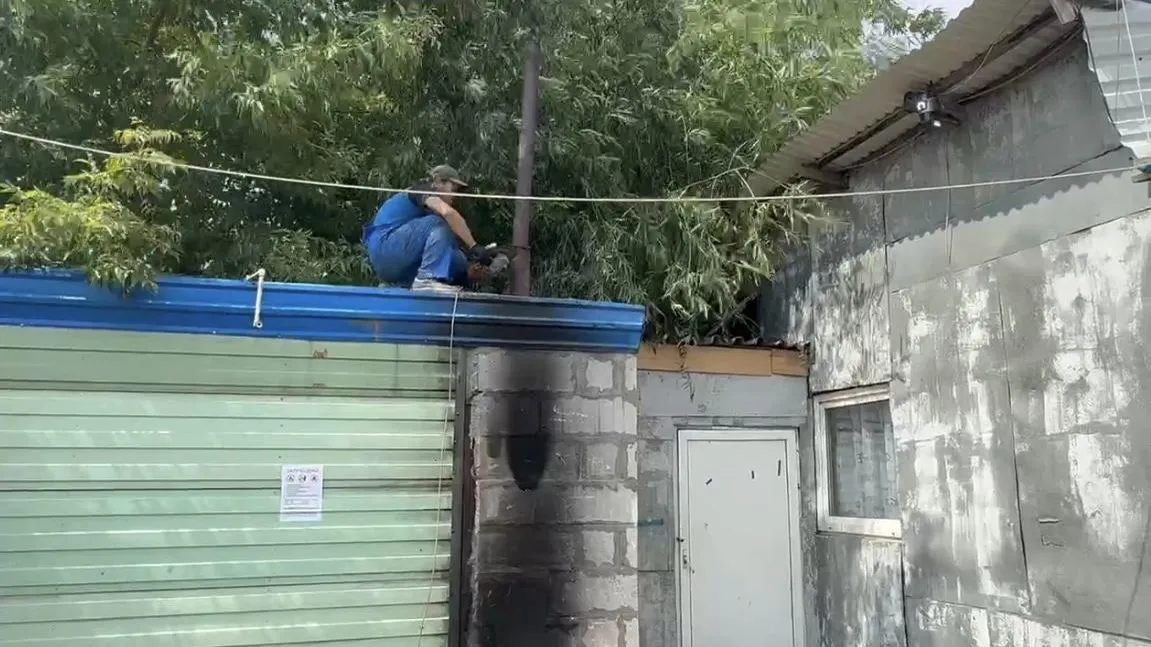 Экологический рейд прошел в Ленинском округе