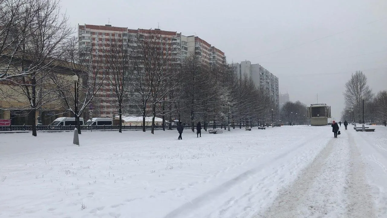 Выпавший за ночь в Московском регионе снег не растает до весны