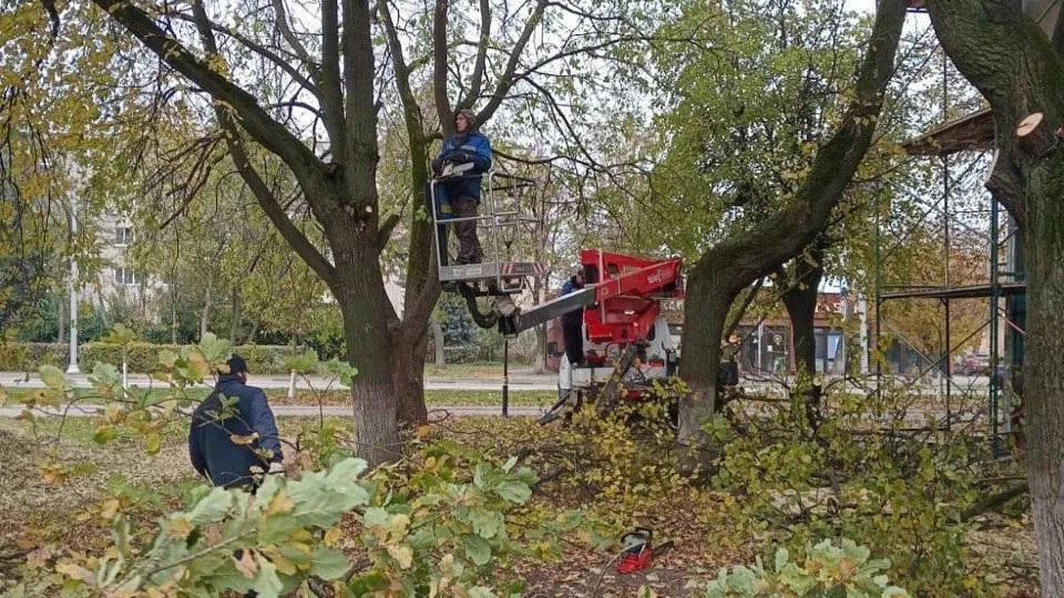 В Подмосковье поделились итогами работ инспекторского состава с 14 по 18 октября
