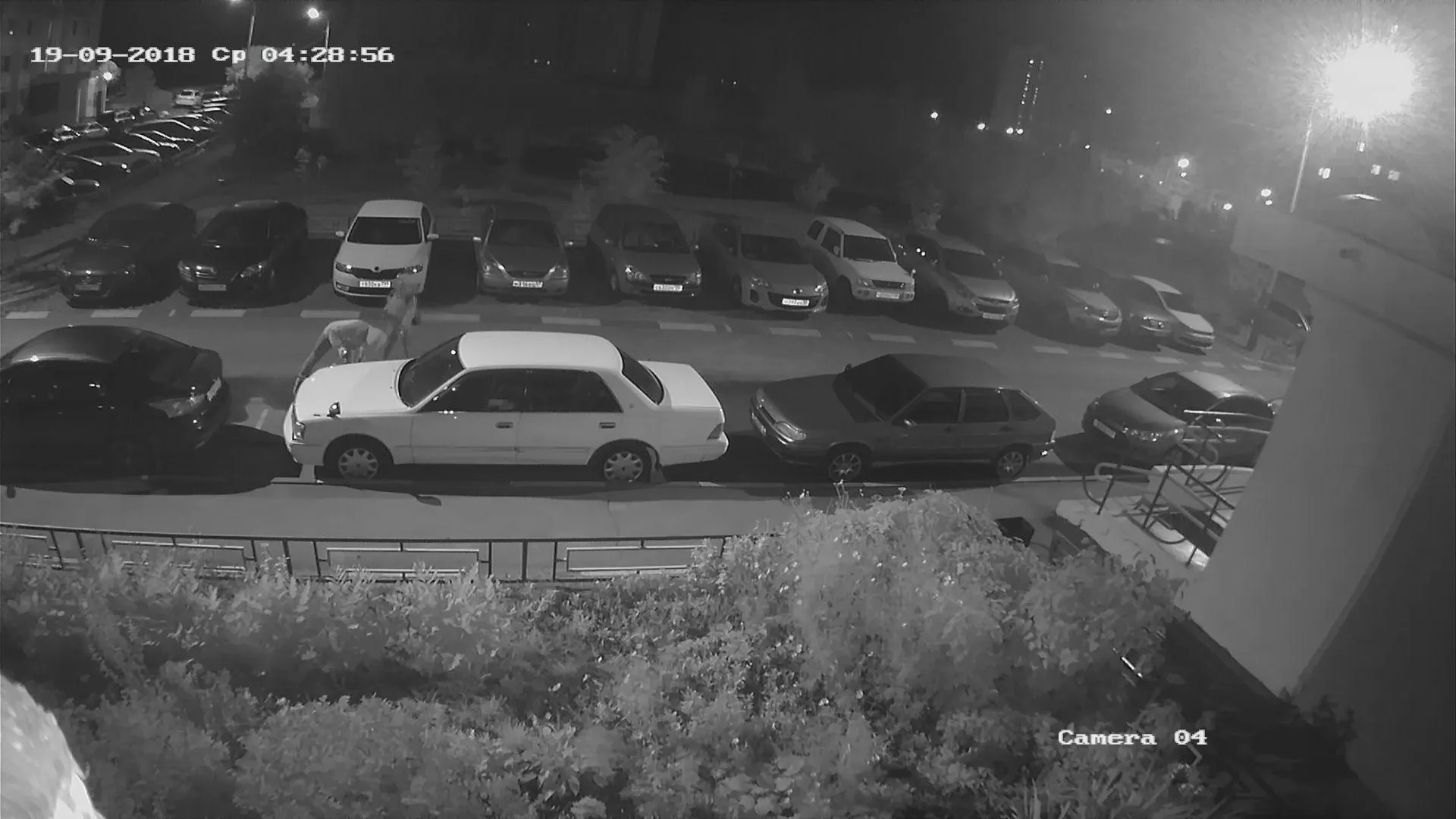 Молодая пара пыталась вскрыть автомобили в Подольске и попала на видео