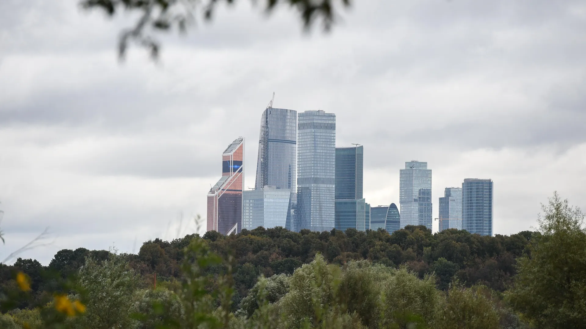 Эксперт Муринец отметила значимость развития Мневниковской поймы для всех групп населения
