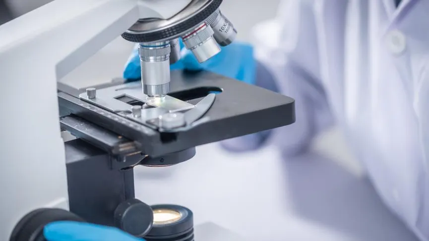 Ingram Publishing / Фотобанк Лори