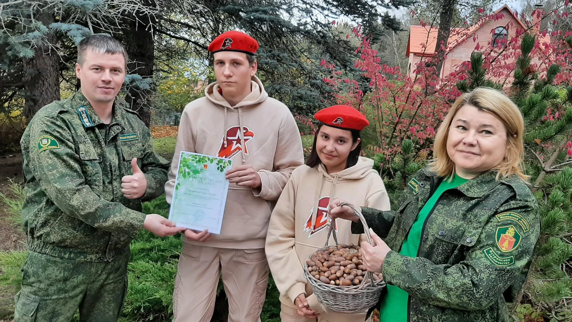 В лесничествах Подмосковья собрали более 1,7 тыс кг лесосеменного сырья