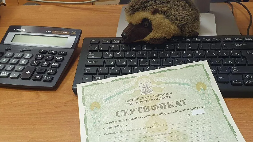 Более 225 тыс семьям Подмосковья выданы сертификаты на материнский капитал