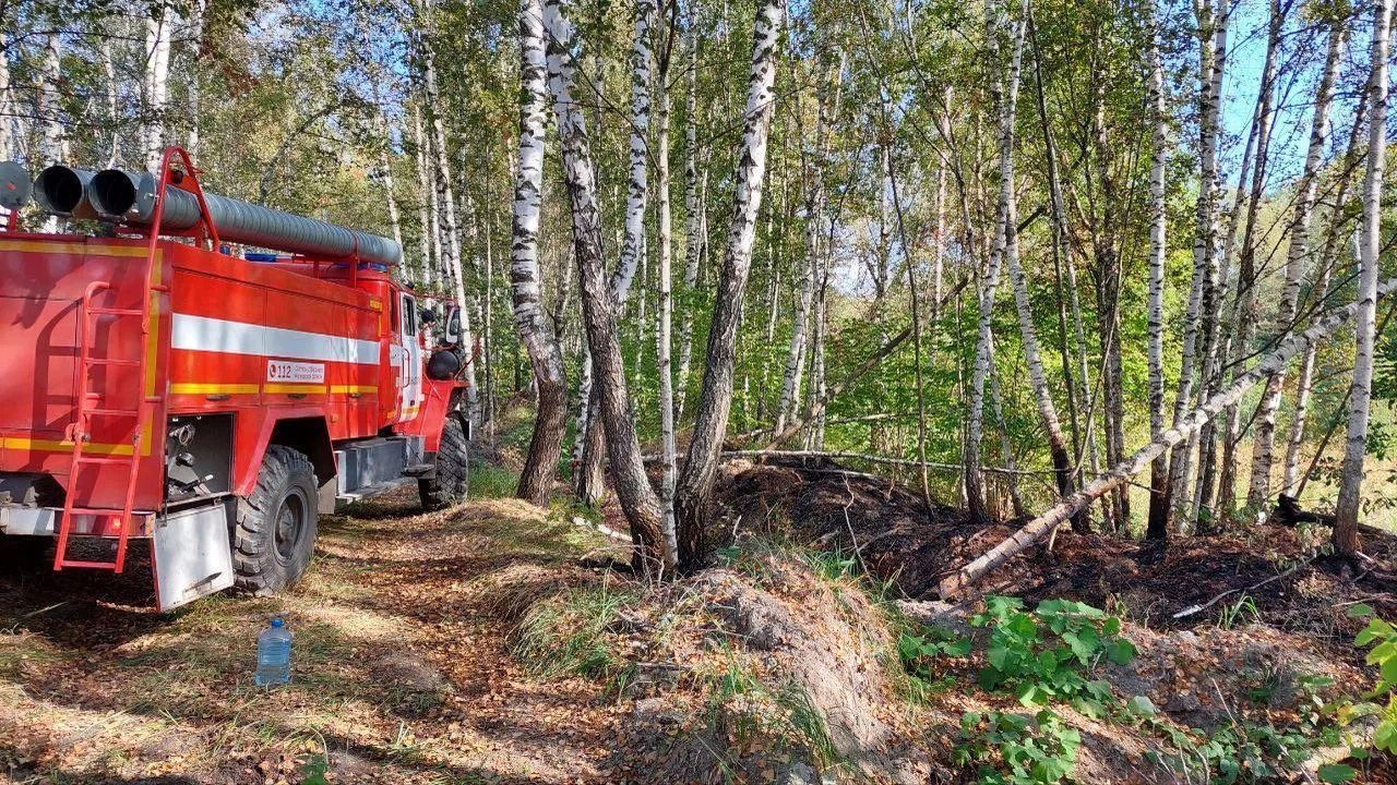 В Ступине ликвидировали лесной пожар