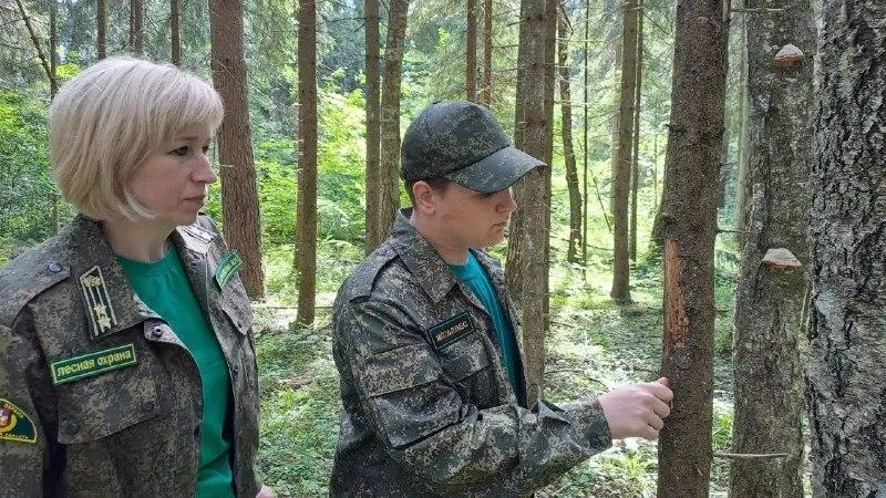 Школьники Подмосковья стали призерами конкурса «Подрост»