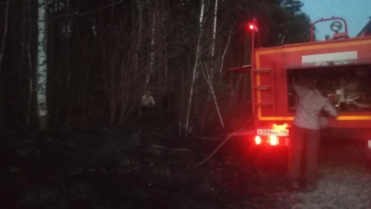 Лесной пожар ликвидировали в Богородском округе