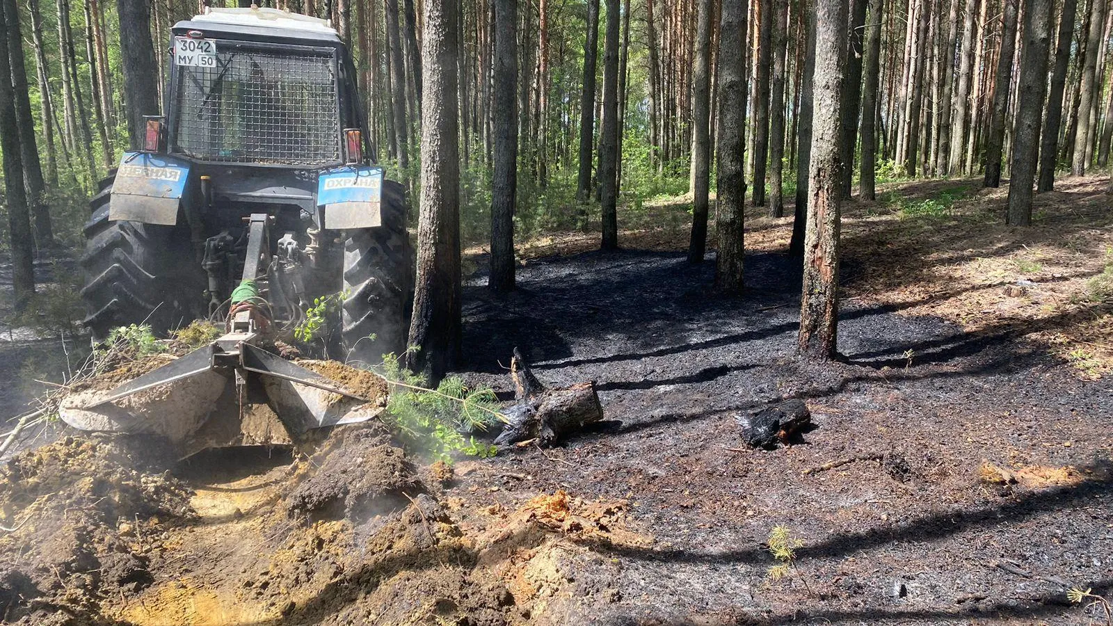 Лесной пожар ликвидирован в Воскресенске