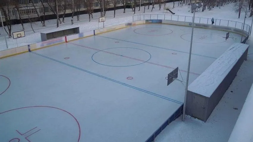 Хоккейную коробку обустроят в Кузьминском лесопарке Котельников летом