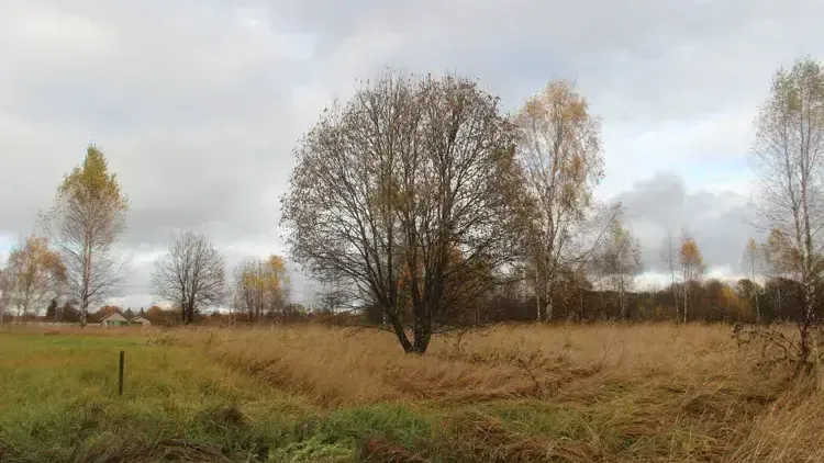 Стал известен топ-3 округов Подмосковья по объектам на торгах за неделю