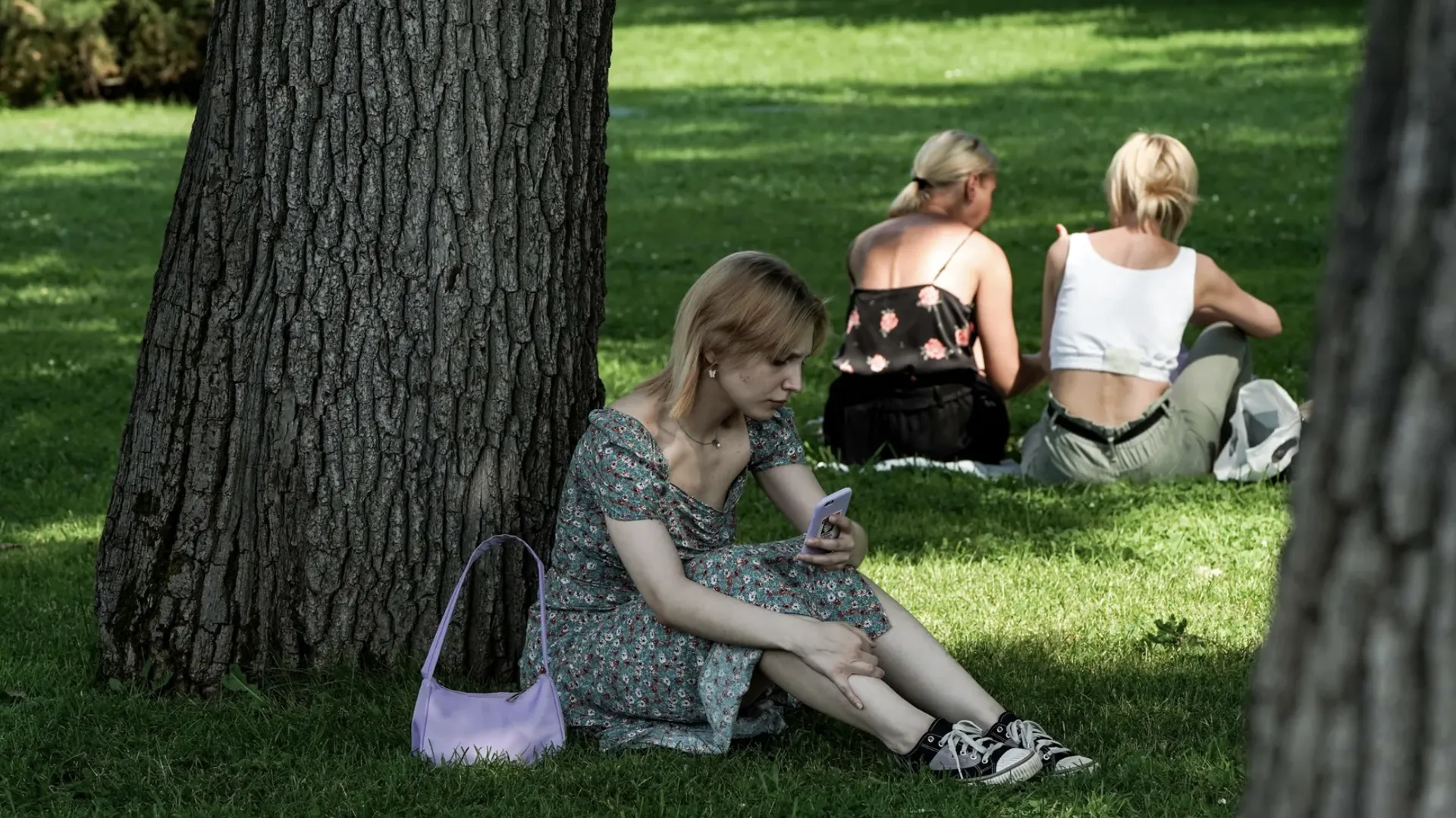 © Медиасток.рф