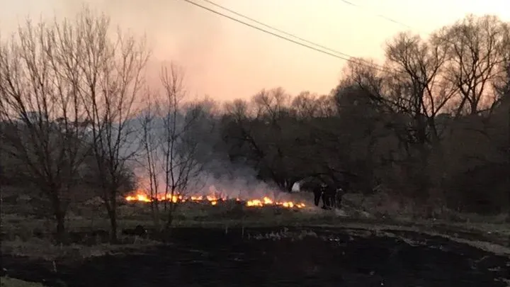 В Подольске неизвестные подожгли поле на въезде в поселок Дубровицы