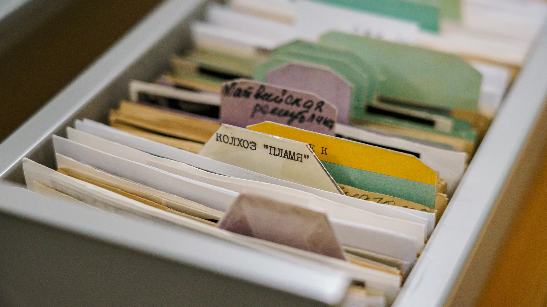 В Подмосковье до 1 ноября продлили прием заявок на конкурс «Юный архивист»