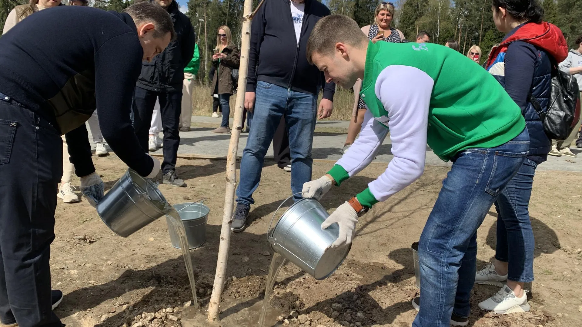 Жители Балашихи убрали мусор и высадили березы на субботнике в Ольгинском лесопарке