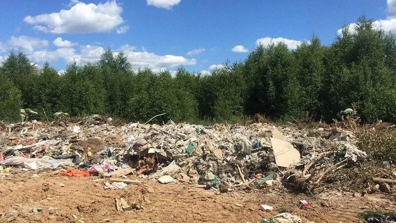 Компанию в Рузском округе оштрафовали за незаконную свалку и порчу земель