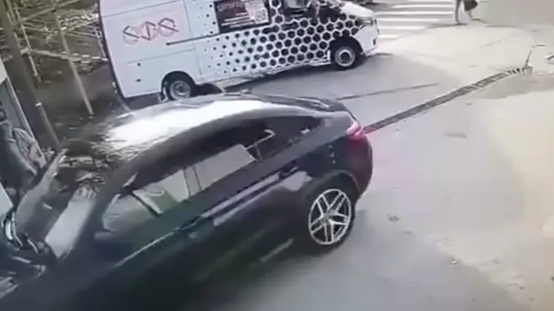 В Туапсе водитель Mercedes переехал трех щенков и скрылся