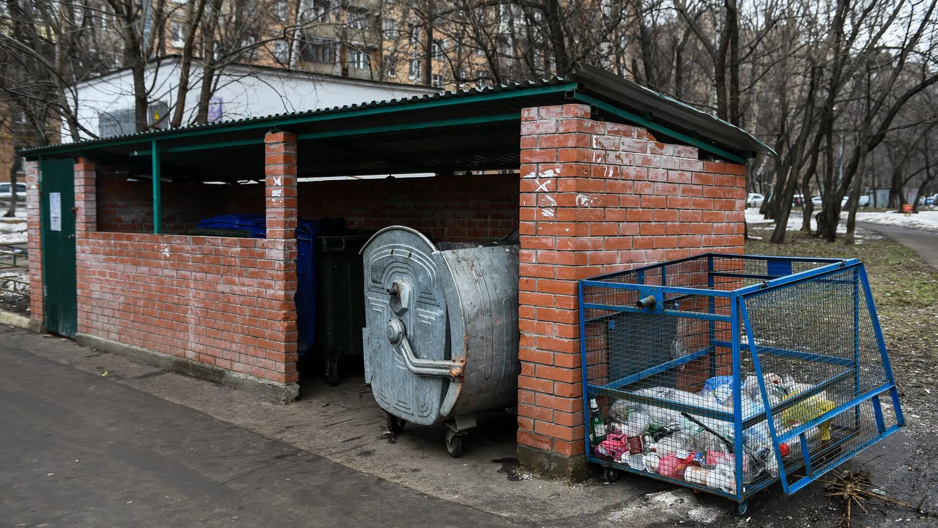 Mash: безумный сатанист убил и выбросил в помойку свою девушку в Воронеже