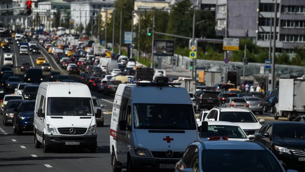 Бездомная собака покусала 15‑летнюю девочку и загрызла ее питомца в Люберцах