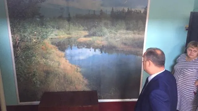 Во время ремонта дома в Подольске оставят фотообои и демонтируют антенны