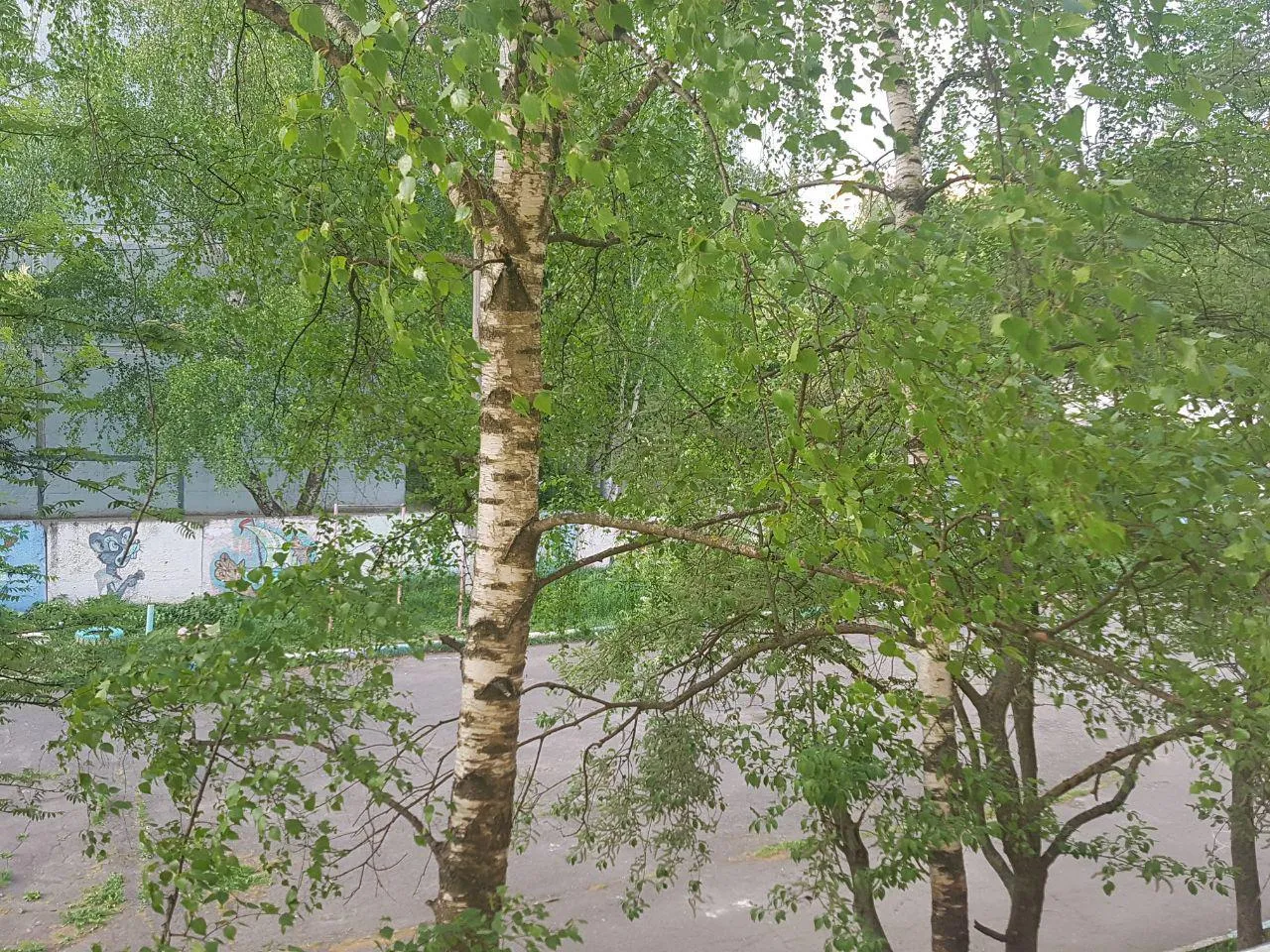 фото из личного архива