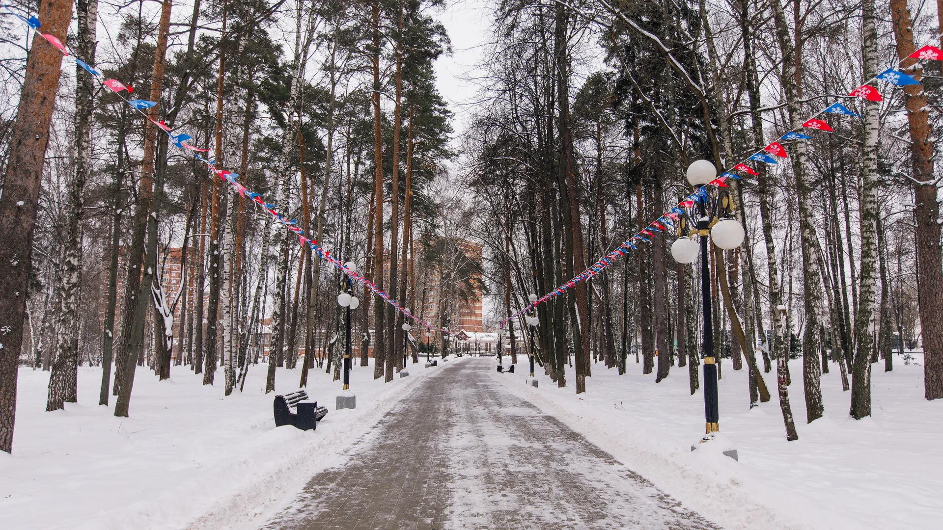 Потепление и минимум снега: какими будут зимы в Москве через 50 лет