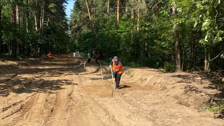 Благоустройство парковой зоны в деревне Марусино Люберец планируют начать в августе