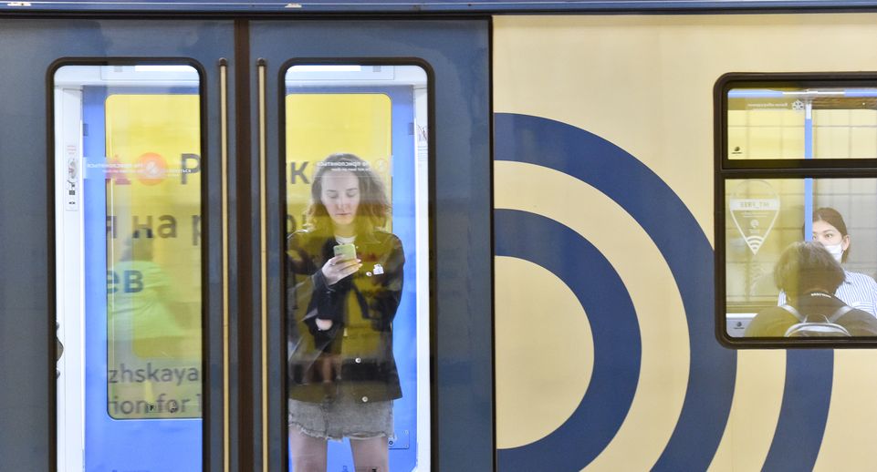 В Москве на юге оранжевой ветки метро увеличивали интервалы для проверки поезда
