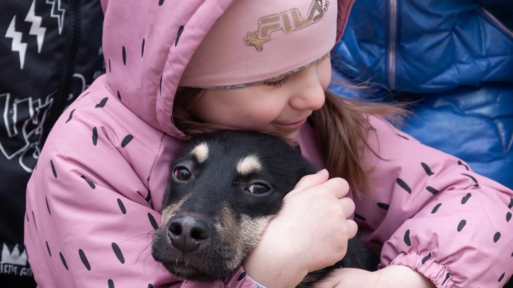 Приют Богородского округа представил питомцев на акции «Белый Бим»