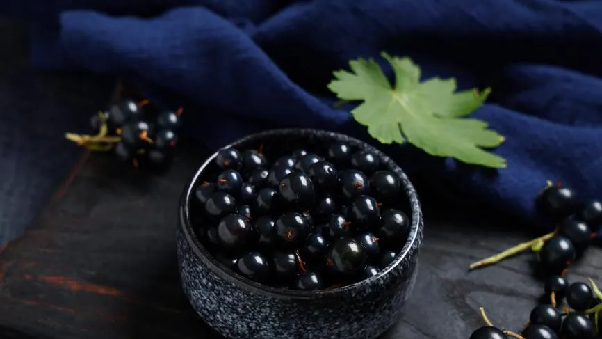 Pixel_shot / Фотобанк Лори