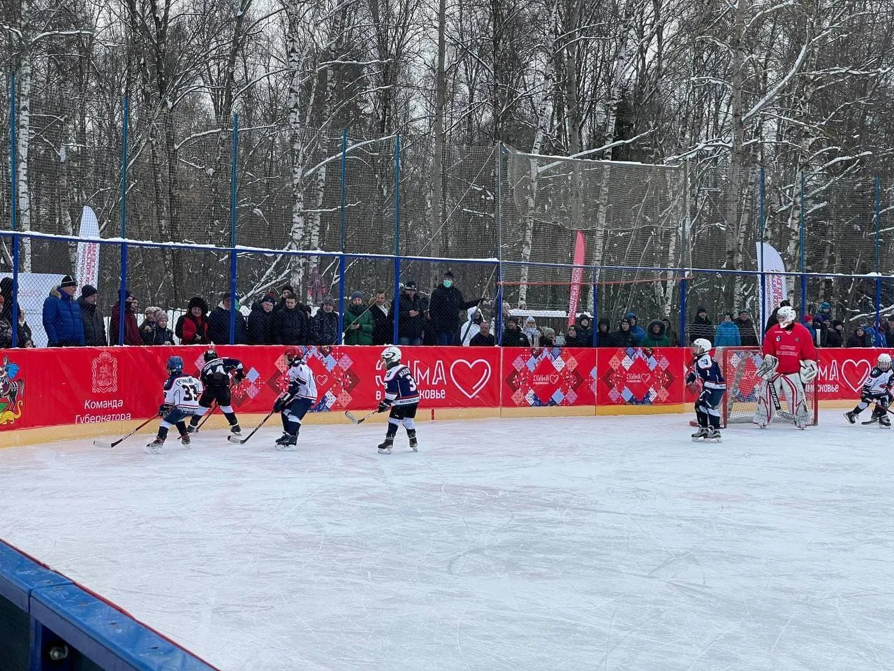 Дарья Сосульникова