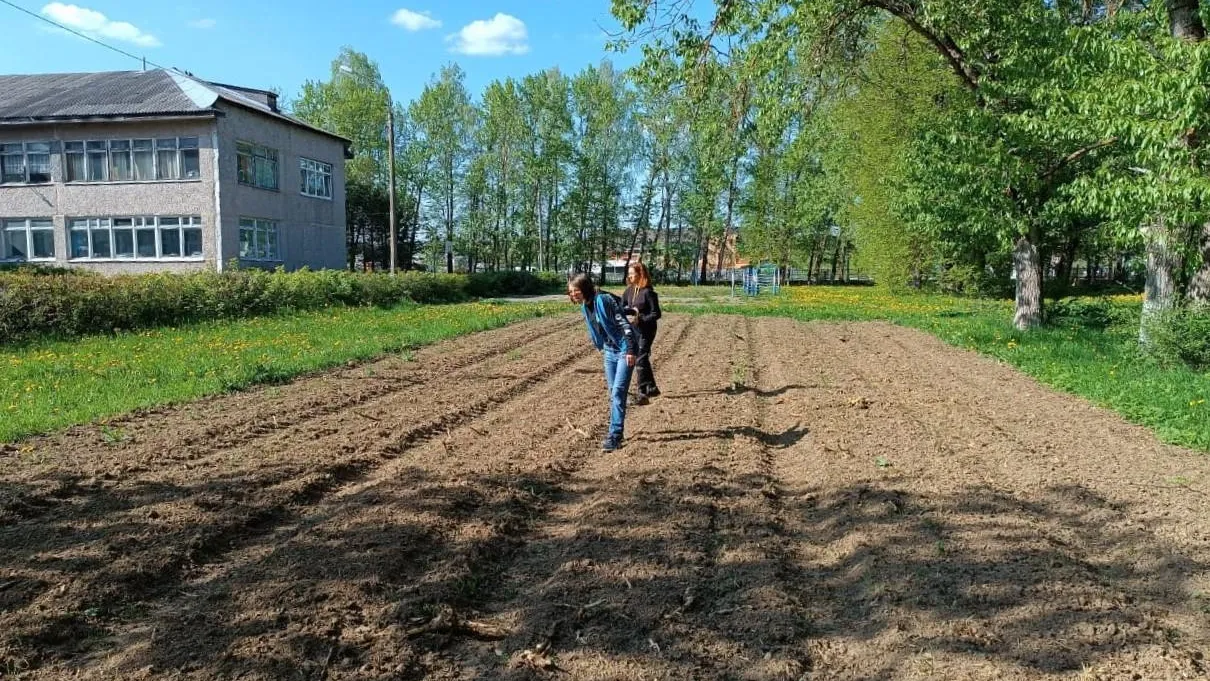 В Можайском округе появился лесной минипитомник