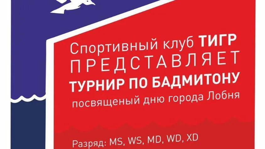 В Лобне проведут турнир по бадминтону 14 сентября