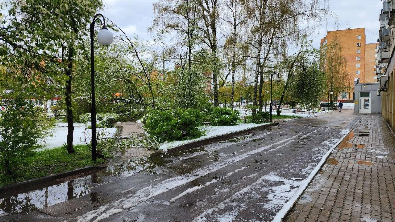 стрингер