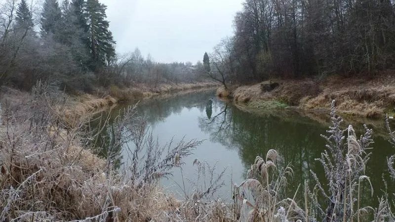 Два природных памятника занесли на кадастровую карту в Талдоме