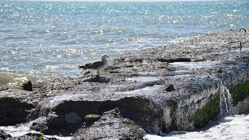 Светлана Первухина / Фотобанк Лори
