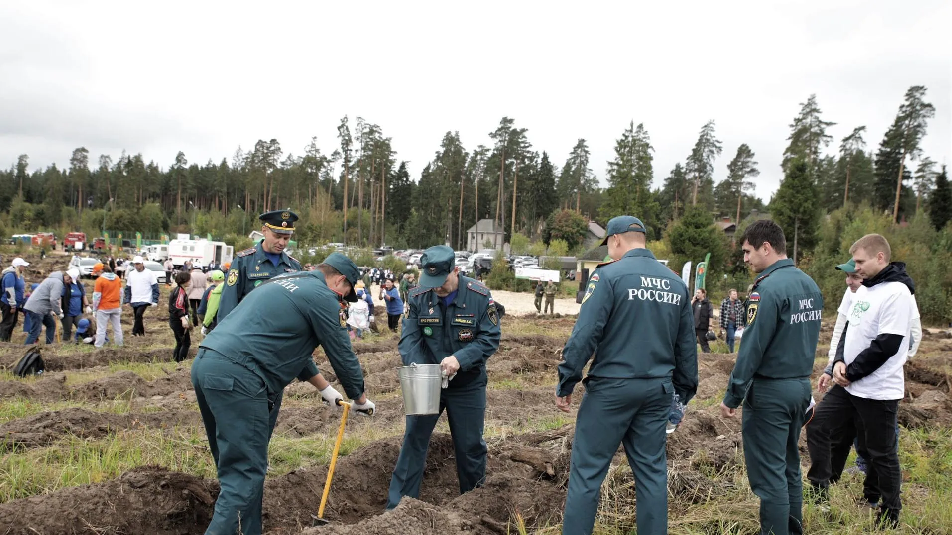 Акция «Наш лес. Посади свое дерево» началась в Подмосковье
