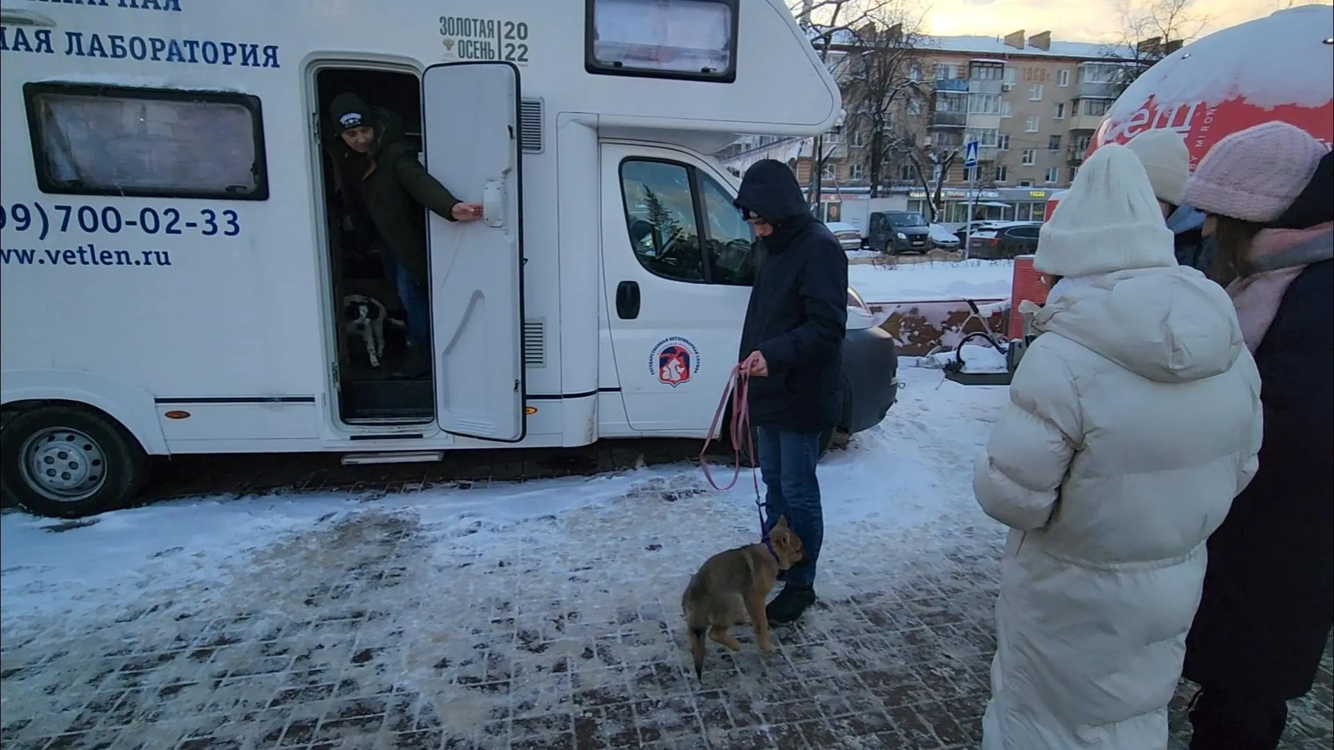 Галина Добрынина