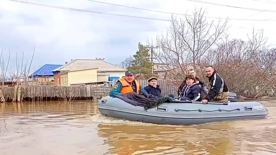 Кадры спасения питомцев в зоне затопления в Орске