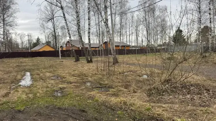 В Богородском округе аренда участка выросла до 5,6 млн руб