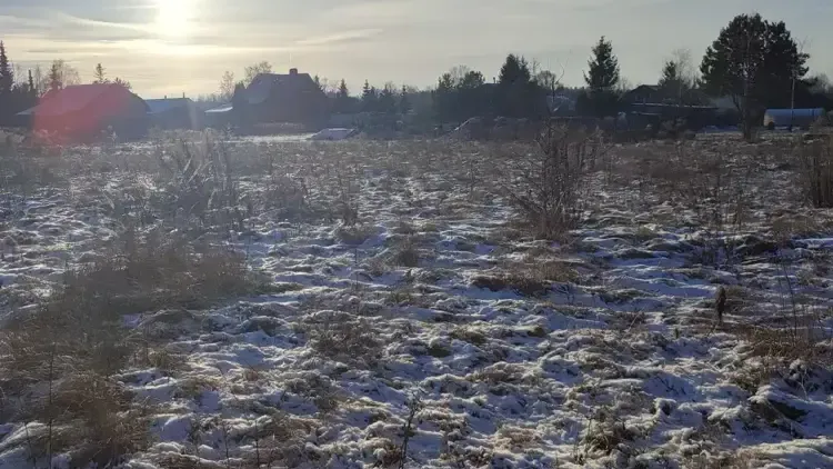 Участок на торгах в Подмосковье