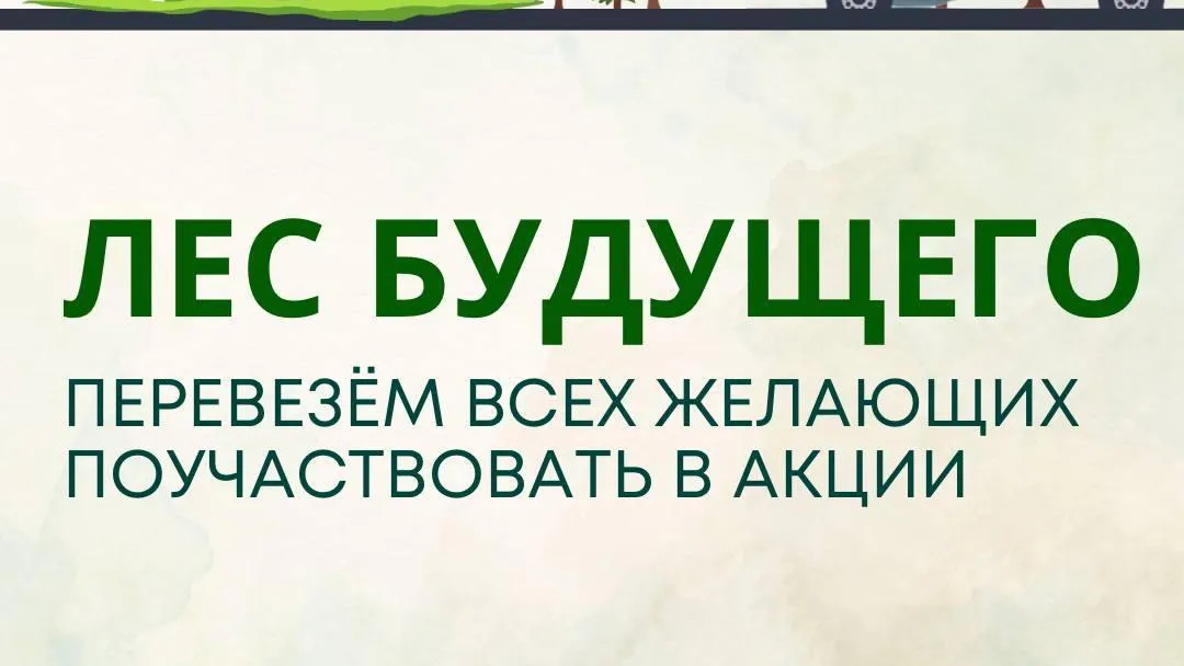 До основной площадки акции «Лес Будущего» можно доехать на шаттлах Мострансавто