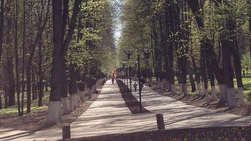 Городской парк в Щелкове закрыли для посещения из‑за коронавируса