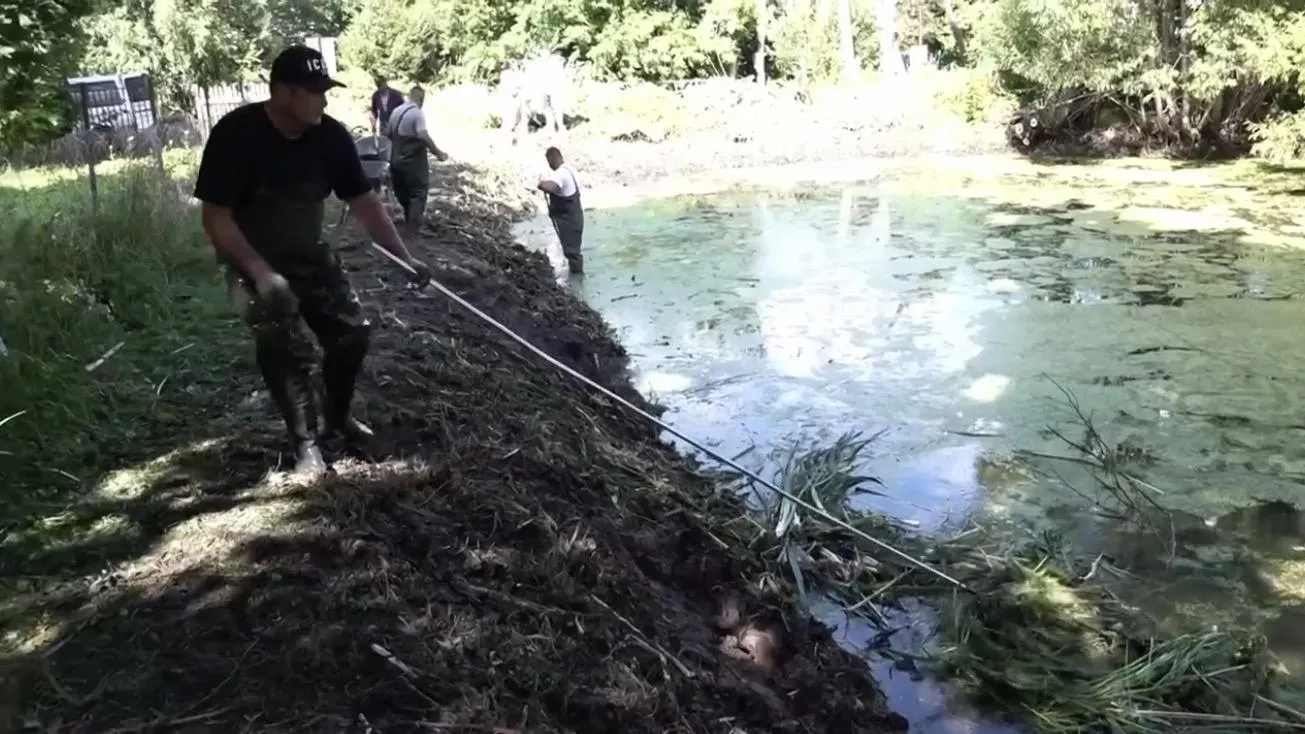 В Истре до конца сентября очистят 28 водоемов