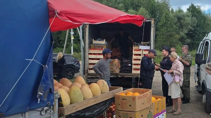 В Орехово-Зуевском округе пресекли несанкционированную торговлю арбузами и дынями