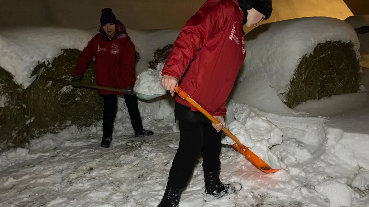 Волонтеры из Шатуры помогли расчистить снег у конного клуба в Алексино-Туголес